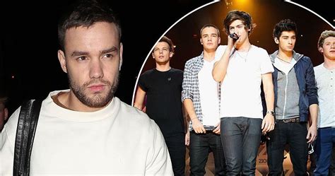 harry styles dick pic|Liam Payne lets slip who surprisingly has the biggest penis of。